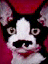 Benutzeravatar
