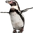 Benutzeravatar