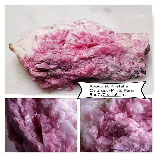 rhodo (2).jpg