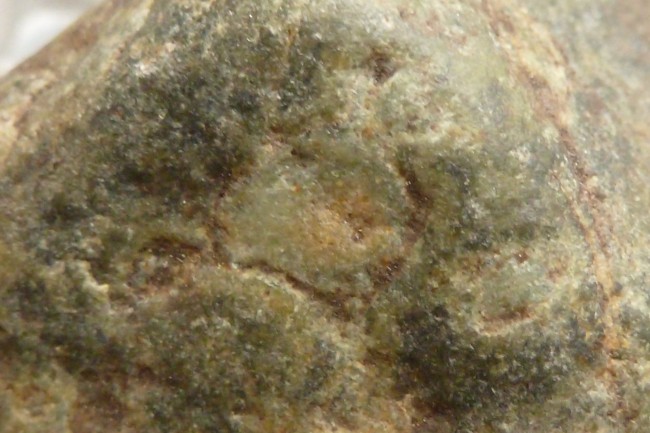 P1.jpg