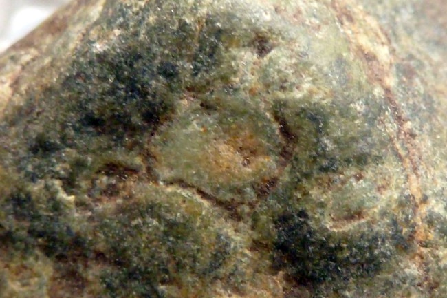 P2.jpg
