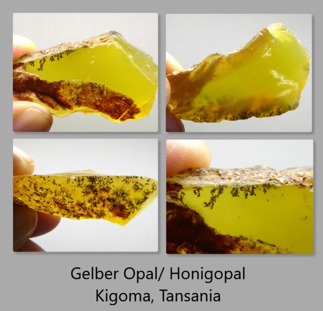honig.jpg