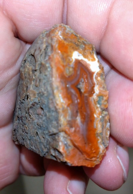 DSC_0278.jpg