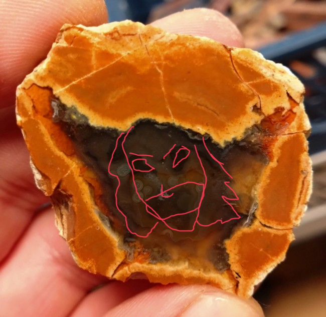 maulkorb.jpg