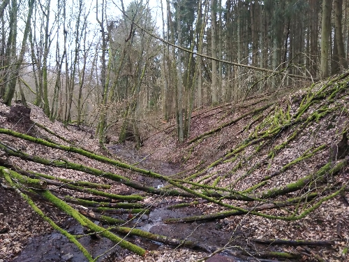 DSC_0381.jpg