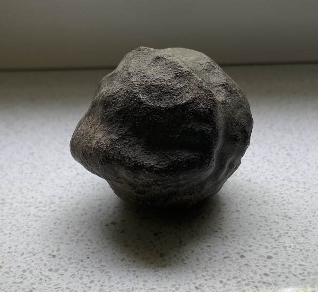 Weibchen
