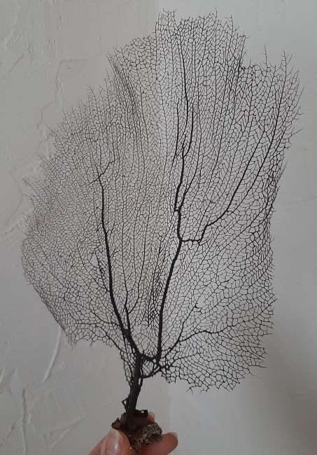 20231108_100538.jpg