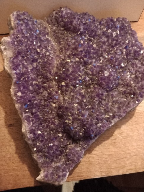 20231202_165015.jpg