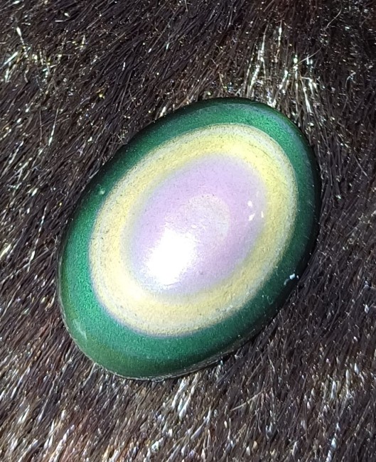 20240702_130515.jpg