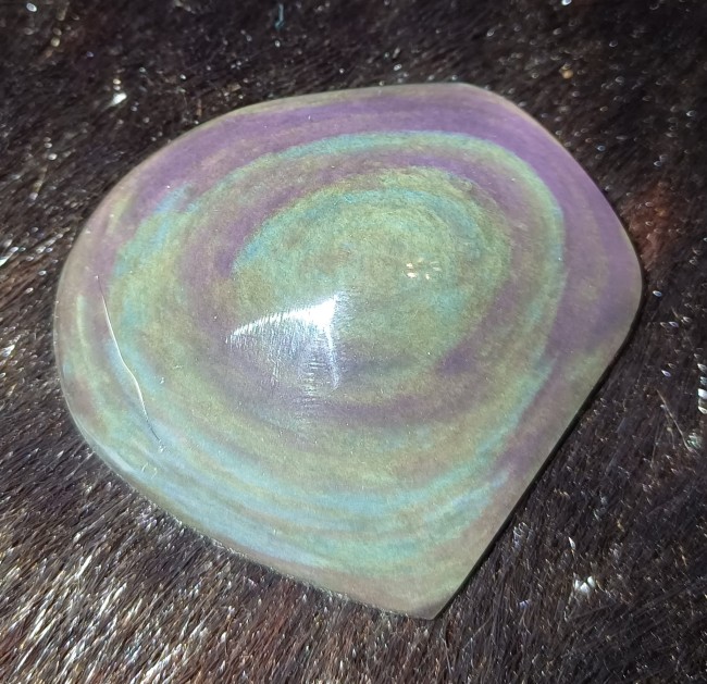 20240702_130600.jpg