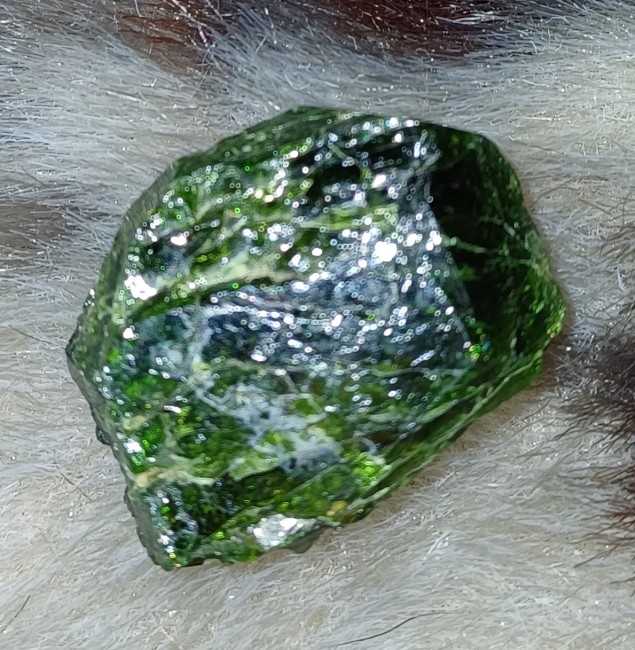 20240702_134458.jpg