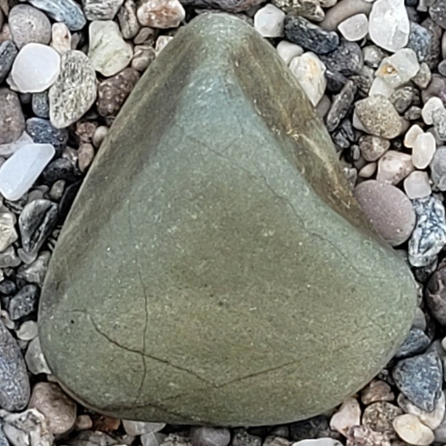 Rückseite