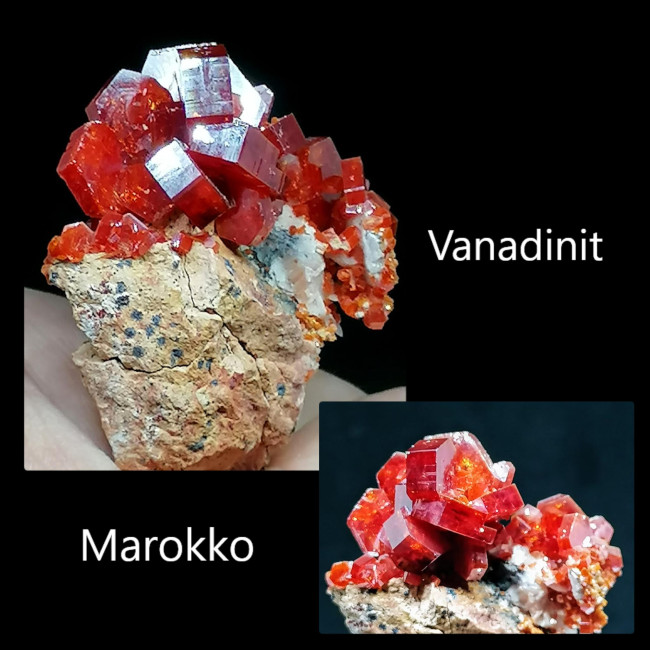 Vanadinit s.jpg