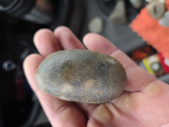 Hallo, ich habe es endlich geschafft. Hat jemand eine Ahnung, was das für ein Stein ist? Ich habe überall gesucht, es ist entweder ein Fossil oder ein Meteorit, aber ich weiß nicht, was es ist.