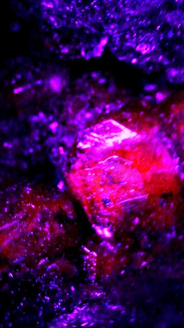 Image_2026-01-13 06_17_49_541.jpg