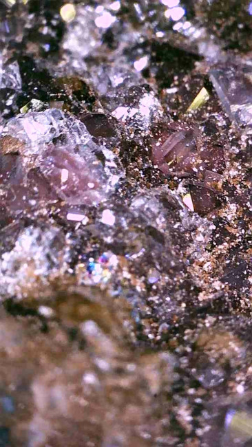 Image_2026-01-13 06_16_06_449.jpg