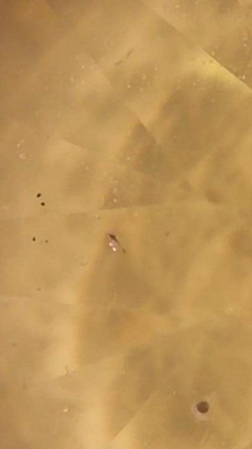 Image_2026-01-16 23_47_31_385.jpg