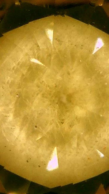 Image_2026-01-16 23_48_11_092.jpg