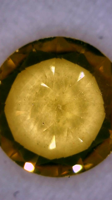 Image_2026-01-16 23_48_43_796.jpg