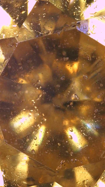 Image_2026-01-16 23_52_48_579.jpg