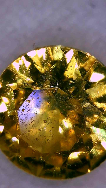 Image_2026-01-16 23_53_49_888.jpg