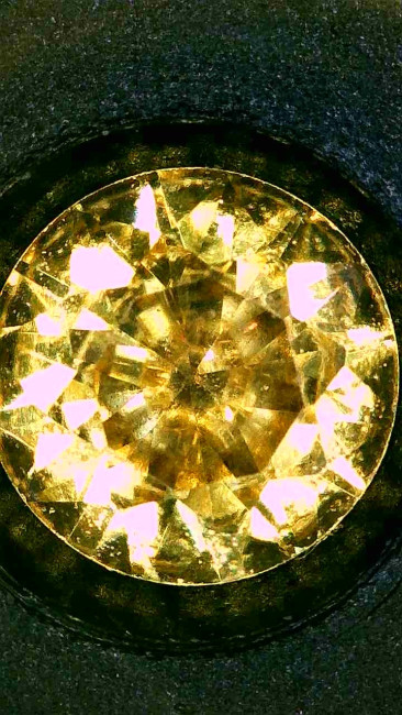 Image_2026-01-19 06_21_07_778.jpg