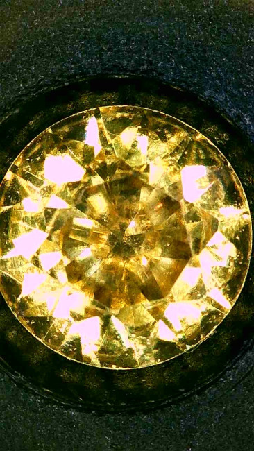 Image_2026-01-19 06_21_08_700.jpg