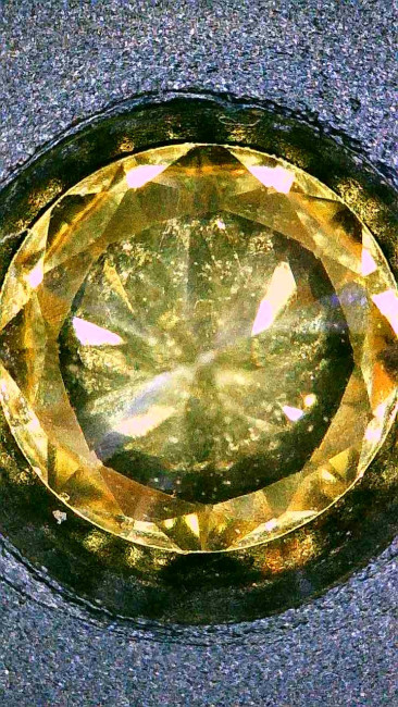 Image_2026-01-19 06_22_49_059.jpg