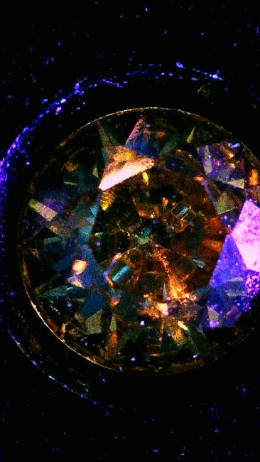 Image_2026-01-19 06_31_06_036.jpg