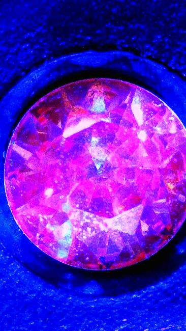 Image_2026-01-19 06_32_22_809.jpg