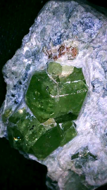 Image_2026-01-27 10_11_40_356.jpg