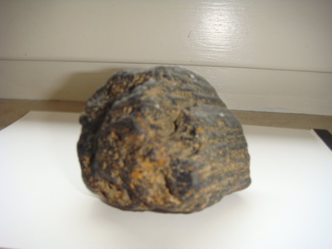 b3