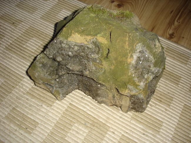 DSC05789.JPG