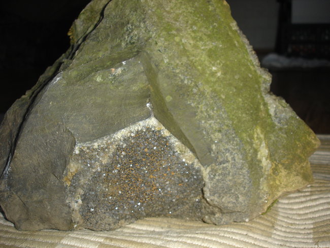 DSC05793.JPG