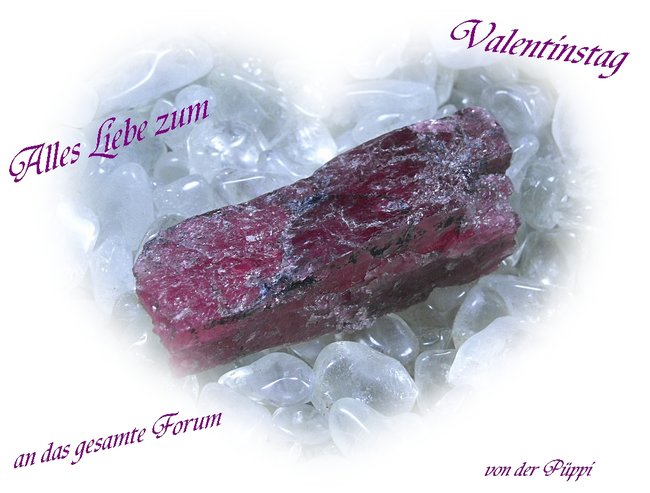 Valenstintag 5780_1.jpg