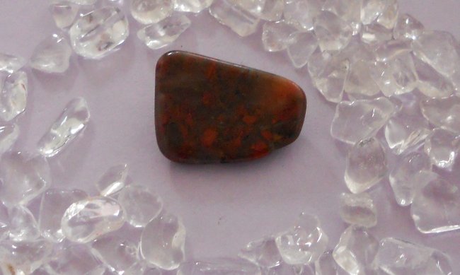 DSCN1246.JPG