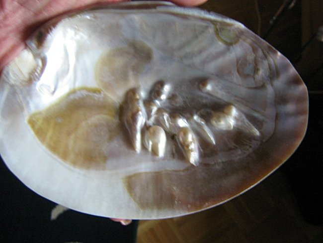 04 IMG_3546_1.jpg