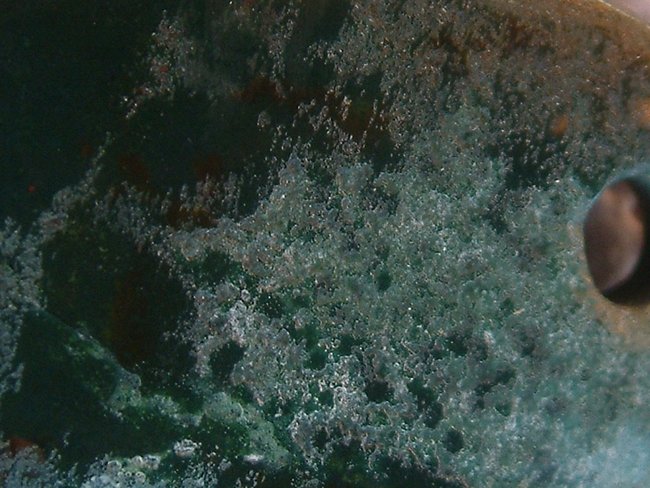 DSCF0005.JPG