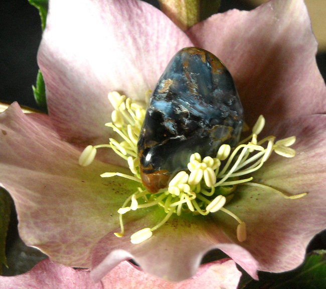 Pietersit