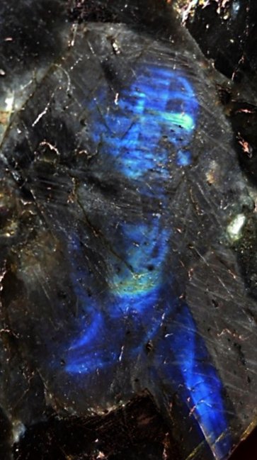 labradorit_ausschnitt_kleines blaues kerlchen ;-).jpg