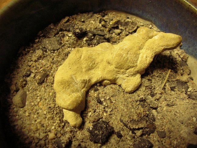 &quot;Figurenstein&quot; Kalkkonkretion WOLF