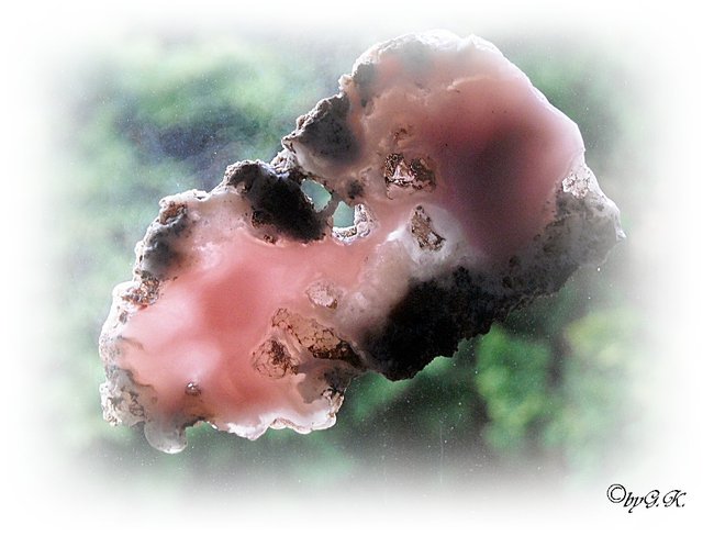 Andenopal Peru 6914_1.jpg