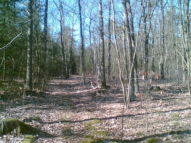 spaziergang 19.3.