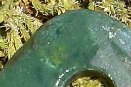 detail_gelb.jpg