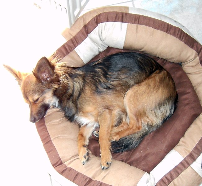 PICT0014.JPG