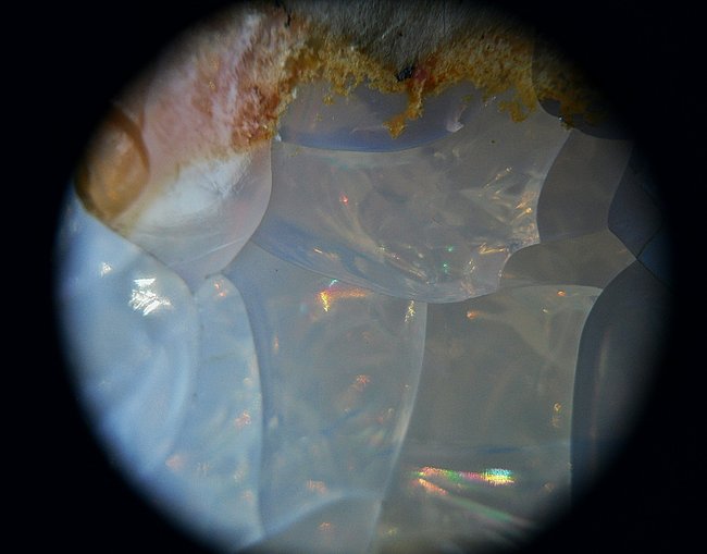 feueropal_ausschn., nevada, usa2.jpg