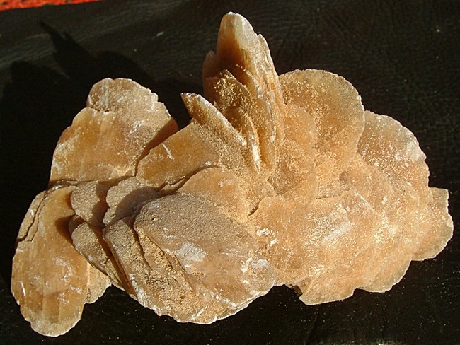 DSCF0020.JPG