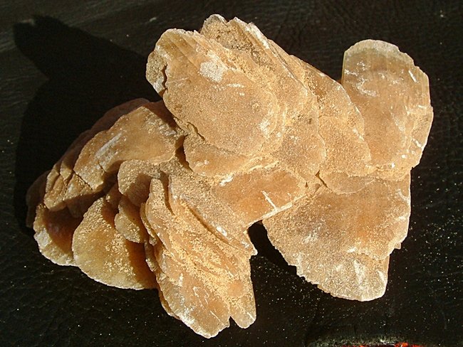 DSCF0021.JPG