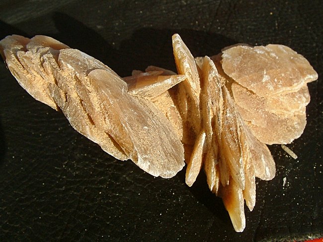 DSCF0022.JPG