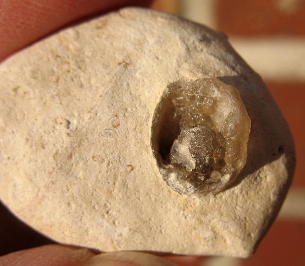 Flint-m.Chalc2.JPG